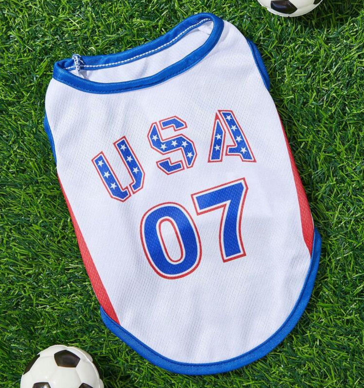 USA OLYMPIC JERSEY