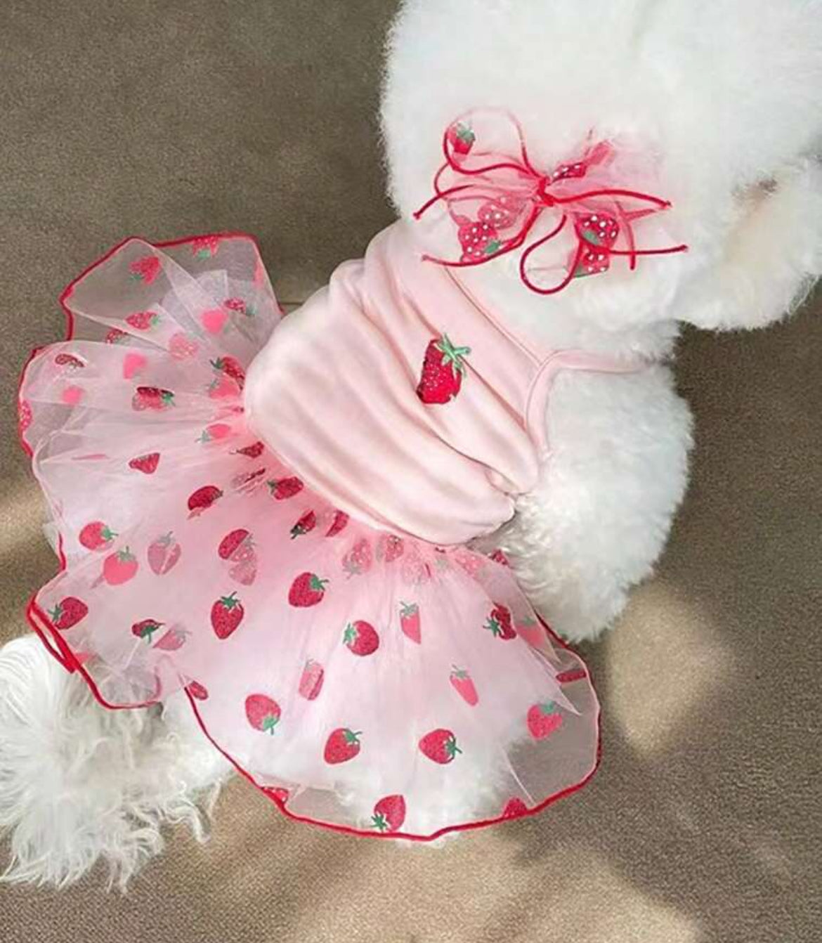 Strawberry Shortcake Dress