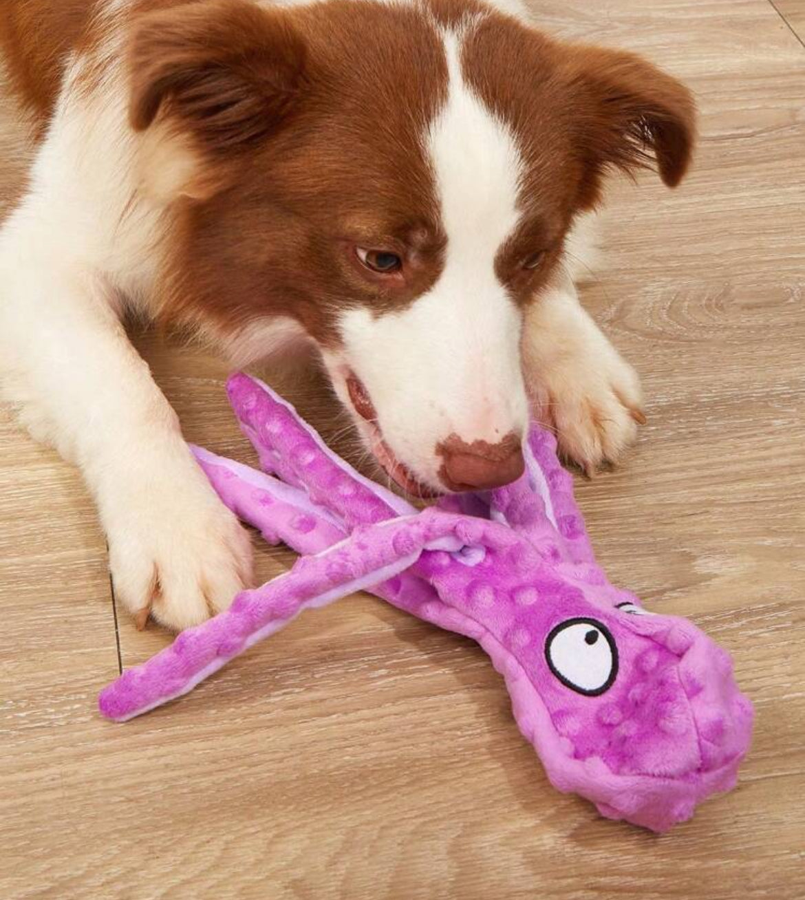 Octopus Plush 